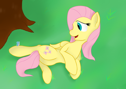 Size: 4092x2893 | Tagged: safe, artist:sidhenearlahi, fluttershy, butterfly, g4