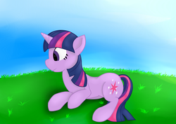 Size: 4092x2893 | Tagged: safe, artist:sidhenearlahi, twilight sparkle, pony, unicorn, g4, female, grass, lying down, mare, smiling, solo, unicorn twilight