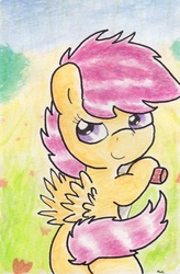 Size: 739x1124 | Tagged: safe, artist:slightlyshade, scootaloo, pony, g4, female, scooter, solo, traditional art