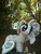 Size: 720x960 | Tagged: artist needed, safe, princess silver swirl, earth pony, pony, g2, g4, g2 to g4, generation leap, irl, outdoors, photo, plushie, solo