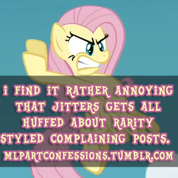 Size: 333x333 | Tagged: safe, fluttershy, g4, meta, pony confession, text