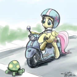 Size: 640x640 | Tagged: safe, artist:giantmosquito, fluttershy, tank, pegasus, pony, tortoise, g4, female, helmet, mare, moped, sidewalk, sketch, street, vespa