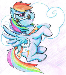 Size: 672x760 | Tagged: safe, artist:hollowzero, rainbow dash, g4, bridle, traditional art