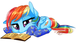 Size: 863x488 | Tagged: safe, artist:kittehkatbar, rainbow dash, pony, g4, backwards cutie mark, book, clothes, reading, simple background, socks, solo, transparent background, wonderbolts