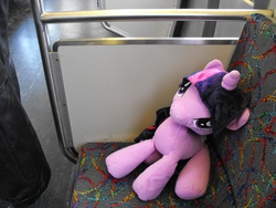 Size: 3648x2736 | Tagged: safe, twilight sparkle, g4, hasbro, high res, irl, photo, plushie, train