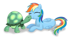 Size: 900x482 | Tagged: safe, artist:aleximusprime, rainbow dash, tank, g4, simple background, sweet, transparent background