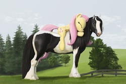 Size: 1200x800 | Tagged: safe, artist:lostdragon01, fluttershy, oc, gypsy vanner, horse, pegasus, pony, g4, canon x oc, coat markings, female, fence, horse-pony interaction, hug, mare, pinto, ponies riding horses, ponies riding ponies, riding, tree