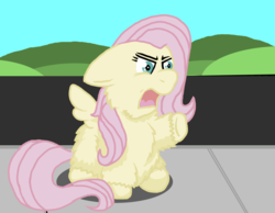 Size: 1483x1151 | Tagged: safe, artist:fluffsplosion, fluttershy, fluffy pony, g4, angry, fluffyshy