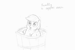 Size: 1144x772 | Tagged: safe, artist:awildfantasy, applejack, fluffy pony, g4, apple, bucket, fluffyjack