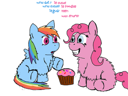 Size: 800x600 | Tagged: safe, artist:fluffsplosion, pinkie pie, rainbow dash, fluffy pony, g4, confused, cupcake, fluffydash, pinkiefluff, pointing, simple background, smiling, white background