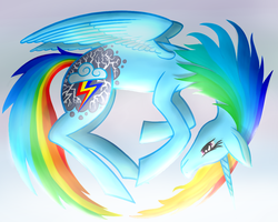 Size: 900x720 | Tagged: safe, artist:willygalleta, rainbow dash, alicorn, pony, g4, alicornified, concave belly, female, race swap, rainbowcorn, slender, solo, thin