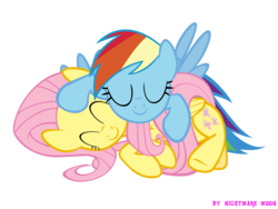 Size: 2000x1500 | Tagged: safe, artist:nightmaremoons, fluttershy, rainbow dash, pegasus, pony, g4, ^^, cuddling, duo, eyes closed, female, lesbian, ship:flutterdash, shipping, simple background, sleeping, sleeping together, transparent background, vector