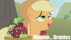 Size: 640x360 | Tagged: safe, edit, edited screencap, screencap, applejack, earth pony, pony, applebuck season, g4, season 1, apple, brony, caption, female, implied, solo