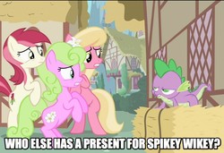 Size: 880x601 | Tagged: safe, edit, edited screencap, screencap, daisy, flower wishes, lily, lily valley, roseluck, spike, dragon, earth pony, pony, g4, season 2, the cutie pox, caption, faic, female, flower, flower in hair, flower trio, hay bale, image macro, lily (flower), male, ship:daisyspike, ship:lilyspike, ship:spikeluck, shipping, spike gets all the mares, spikey wikey, straight