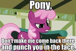 Size: 600x405 | Tagged: safe, cheerilee, earth pony, pony, g4, caption, female, image macro, meme, ponyville schoolhouse, reaction image, solo