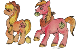 Size: 1012x645 | Tagged: safe, artist:twinklestahh, applejack, big macintosh, earth pony, pony, g4, apple, duo, eyes closed, male, simple background, stallion, transparent background