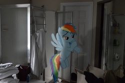 Size: 2464x1632 | Tagged: safe, artist:oppositebros, rainbow dash, pony, g4, bathroom, irl, photo, ponies in real life, shadow, shower, vector