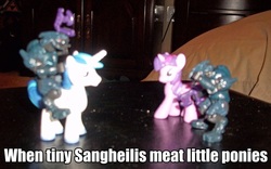 Size: 877x548 | Tagged: safe, shining armor, twilight sparkle, sangheili, g4, blind bag, halo (series), irl, meat, photo, toy