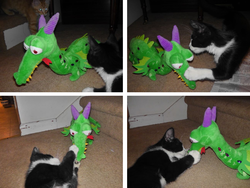 Size: 1302x978 | Tagged: safe, artist:onlyfactory, crackle, cat, dragon, g4, bootleg, irl, photo, plushie, toy