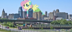 Size: 1636x722 | Tagged: safe, fluttershy, pegasus, pony, g4, giant pegasus, giant pony, giantess, giantshy, highrise ponies, kansas city, macro, missouri