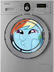 Size: 258x342 | Tagged: safe, rainbow dash, g4, animated, dashface, female, samsung, so awesome, washing machine