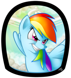 Size: 1020x1111 | Tagged: safe, artist:tobibrocki, rainbow dash, pony, g4, solo