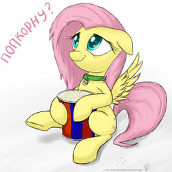 Size: 900x900 | Tagged: safe, artist:rule1of1coldfire, fluttershy, oc, oc:futashy, pegasus, pony, g4, collar, futa, futa fluttershy, intersex, pet tag, popcorn, russian, solo