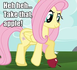 Size: 838x767 | Tagged: safe, edit, edited screencap, screencap, fluttershy, pegasus, pony, g4, my little pony: friendship is magic, season 1, swarm of the century, apple, caption, cropped, female, folded wings, food, image macro, looking down, mare, pink hair, pink mane, pink tail, solo, tail, teal eyes, text, wings, yellow body, yellow coat, yellow fur, yellow pony, yellow wings