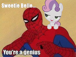 Size: 801x600 | Tagged: safe, sweetie belle, g4, 60s spider-man, image macro, male, meme, needs more jpeg, spider-man
