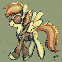 Size: 1447x1447 | Tagged: safe, artist:uber-tastee, spitfire, pegasus, pony, g4, clothes, female, hippie, mare, necklace, peace symbol, solo, sunglasses