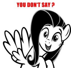 Size: 640x615 | Tagged: safe, fluttershy, pegasus, pony, g4, black and white, dialogue, female, grayscale, mare, meme, monochrome, open mouth, reaction image, solo, spread wings, wings, you don't say