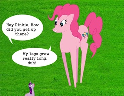 Size: 1100x850 | Tagged: safe, artist:divinefolklore, pinkie pie, twilight sparkle, pony, g4, grass, pinkie logic