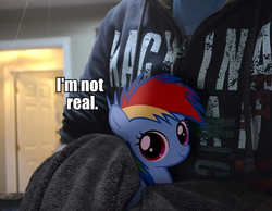 Size: 635x492 | Tagged: safe, rainbow dash, human, pony, g4, filly, irl, irl human, photo, ponies in real life, sad, sad truth, vector