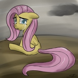 Size: 700x700 | Tagged: safe, artist:speccysy, fluttershy, pony, g4, crying, female, solo