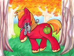 Size: 1000x757 | Tagged: safe, artist:lizspit, big macintosh, smarty pants, earth pony, pony, g4, autumn, cute, eyes closed, hug, macabetes, male, marker drawing, stallion, traditional art