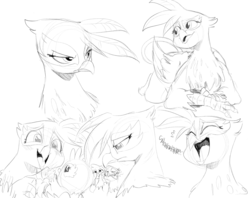 Size: 1516x1200 | Tagged: safe, artist:sunibee, gilda, oc, oc:grizelda, griffon, g4, angry, claws, eyes closed, laughing, monochrome, open mouth, scowl, sketch, tail, text, wings