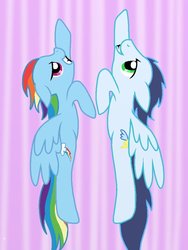 Size: 600x800 | Tagged: safe, artist:o0vinylscratch0o, rainbow dash, soarin', g4, female, male, ship:soarindash, shipping, straight