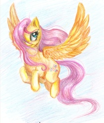 Size: 1231x1464 | Tagged: safe, artist:shad-o-ren, fluttershy, g4, traditional art