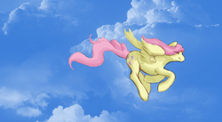 Size: 887x485 | Tagged: safe, artist:derpilish, artist:noel, fluttershy, pegasus, pony, g4, colored, flying, sky, solo