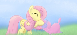Size: 2200x1000 | Tagged: safe, artist:dshou, fluttershy, sheep, g4, crystal empire, ewe, eyes closed, petting, profile, smiling, solo