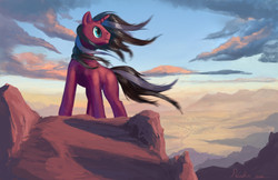 Size: 3400x2200 | Tagged: safe, artist:paladin, oc, oc only, pony, high res, solo, windswept mane