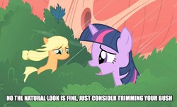 Size: 906x549 | Tagged: safe, edit, edited screencap, screencap, applejack, twilight sparkle, earth pony, pony, g4, look before you sleep, my little pony: friendship is magic, caption, female, golden oaks library, mare, tree