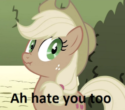 Size: 400x354 | Tagged: safe, applejack, earth pony, pony, g4, female, liar face, liarjack, meme, scrunchy face, solo