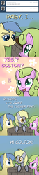 Size: 650x2885 | Tagged: safe, artist:why485, daisy, derpy hooves, flower wishes, goldengrape, sir colton vines iii, earth pony, pegasus, pony, ask the flower trio, g4, daisygrape, female, male, mare, shipping, stallion, straight, tumblr, well