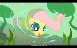 Size: 1024x640 | Tagged: safe, screencap, fluttershy, g4, the cutie mark chronicles, youtube caption