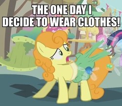 Size: 451x390 | Tagged: safe, edit, edited screencap, screencap, carrot top, golden harvest, earth pony, parasprite, pony, g4, season 1, swarm of the century, background pony, caption, clothes, female, image macro, impact font, mare, reaction image, skirt, skirt pull, we don't normally wear clothes