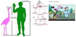 Size: 1834x908 | Tagged: safe, rainbow dash, flamingo, g4, size chart, size comparison, the more you know