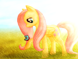 Size: 1024x768 | Tagged: safe, artist:thedogzlife, fluttershy, butterfly, pegasus, pony, g4, crepuscular rays, female, folded wings, grass, hoof hold, looking at something, looking down, mare, outdoors, profile, raised hoof, solo, standing, wings