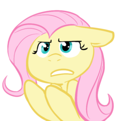 Size: 502x503 | Tagged: safe, artist:php27, fluttershy, pegasus, pony, g4, female, reaction image, simple background, solo, transparent background, why