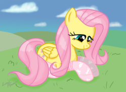 Size: 1000x733 | Tagged: safe, artist:lunarapologist, fluttershy, pony, g4, clothes, female, socks, solo